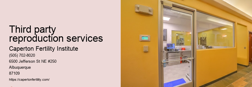 Fertility Consultations